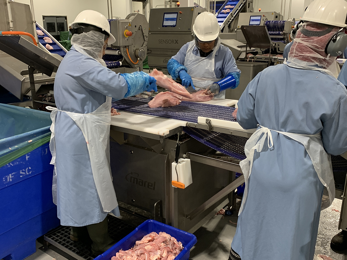 IPPE food processing